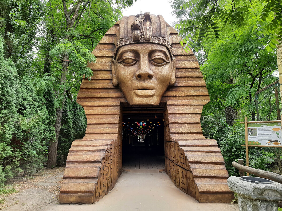 Краснодар, парк Солнечный остров, сафари-парк, ул. Трамвайная, 2, 24 июня 2021 год из личных архивов