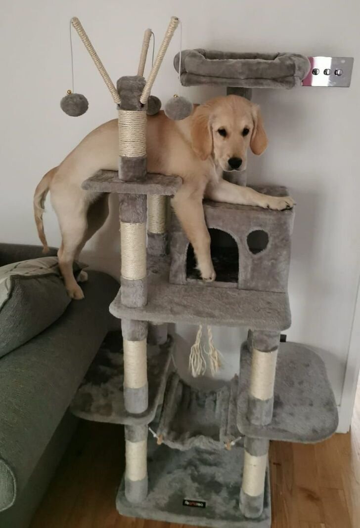 © Sola*sh*le/Reddit