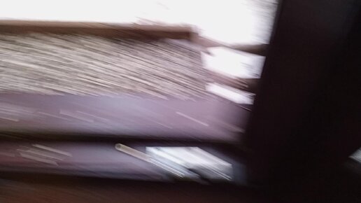 лемур сифака танцор. Animal на дзене. фото для канала на дзене. Animal на дзене. смешные звери.