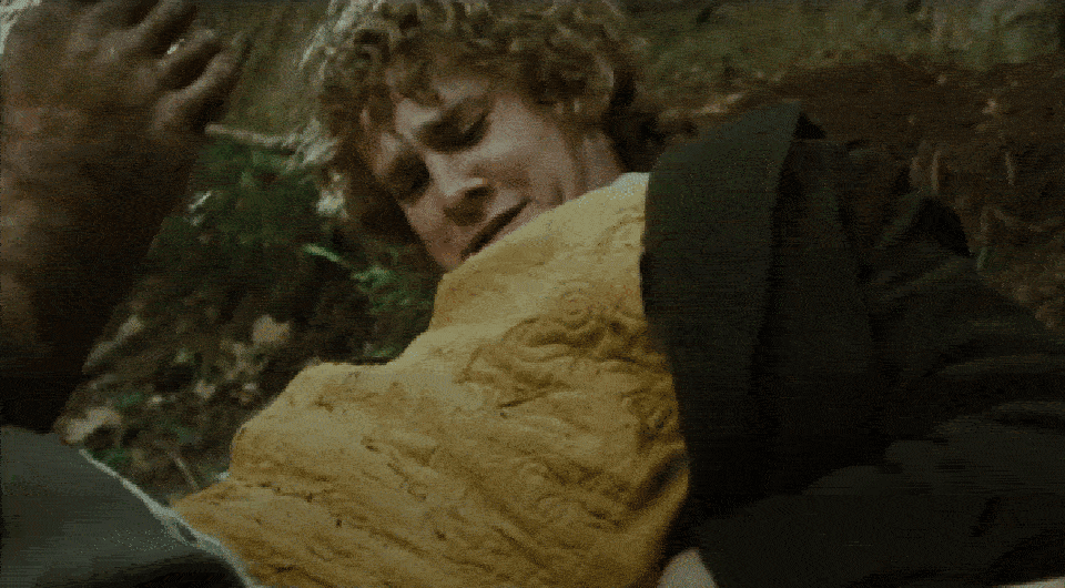   The Lord of the Rings: The Fellowship of the Ring / New Line Cinema, 2001