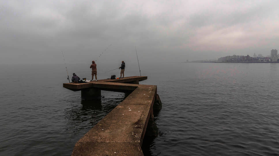    Фото: Matilde Campodonico / AP