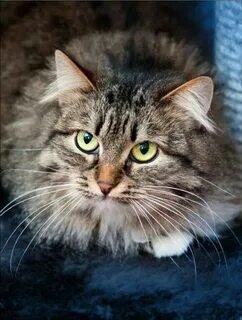 Дички были такие...