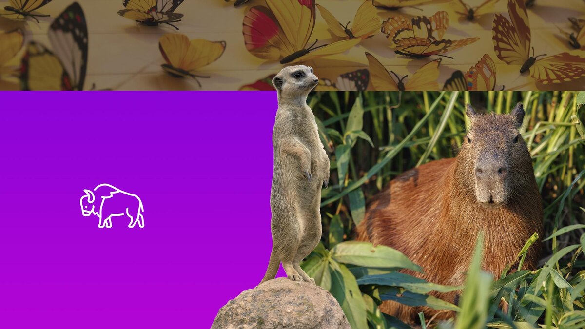 Коллаж 78.ru: freepng.ru, freepik.com/vladimircech, unsplash.com, flaticon.com