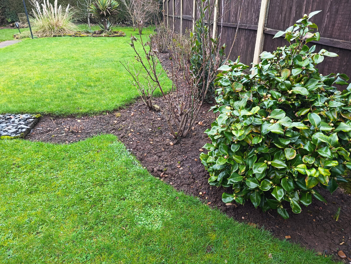 Вот тут кот-Калико лежал - даже вижу, что травку примял))