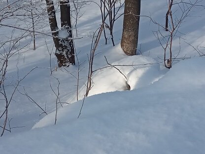 Фотография из личного архива автора
