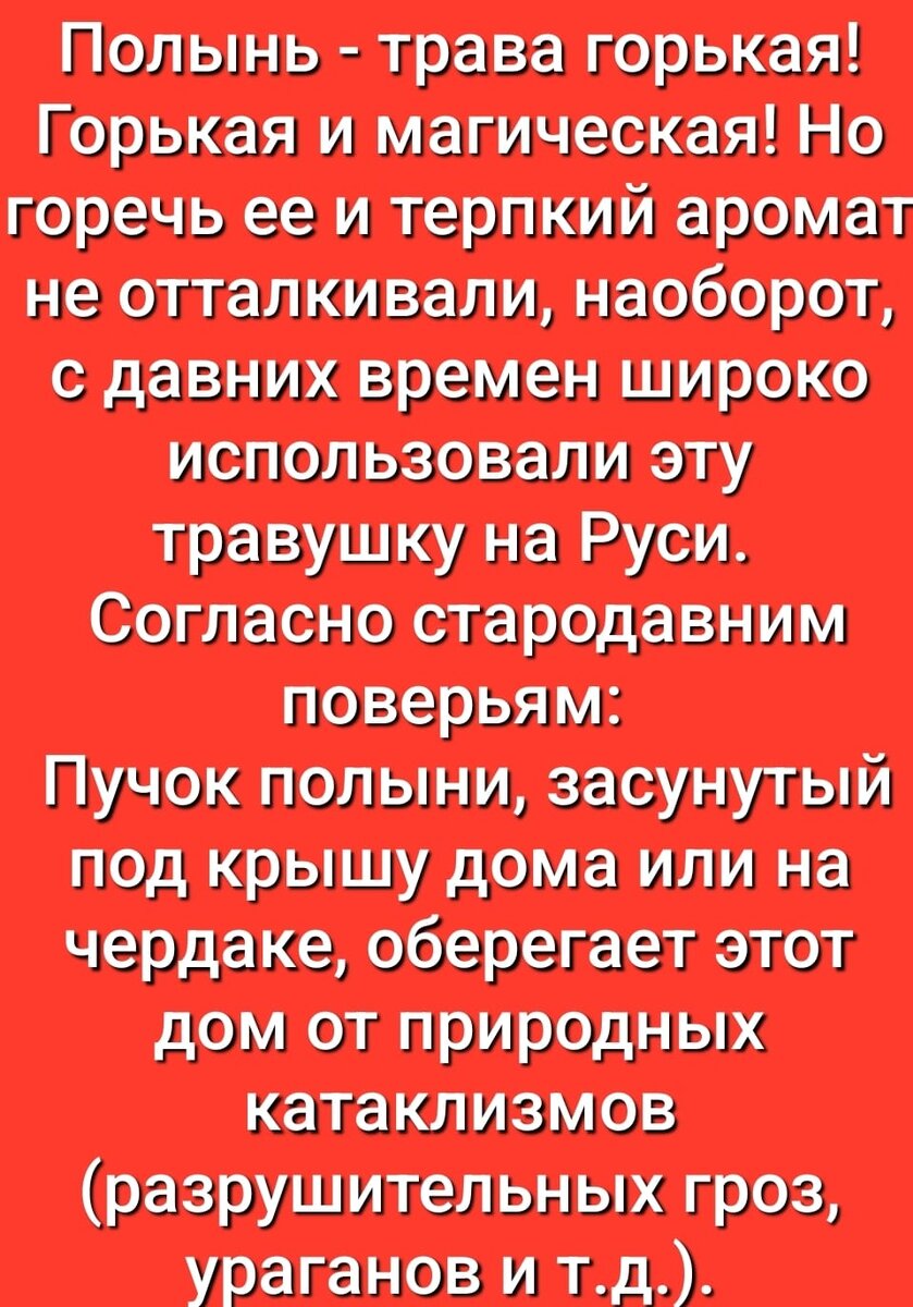 Ведьмёныш. Встреча. Про свирель из кости, про старуху и про станцию |  Ведьмины подсказки. Мифы, фэнтези, мистика | Дзен