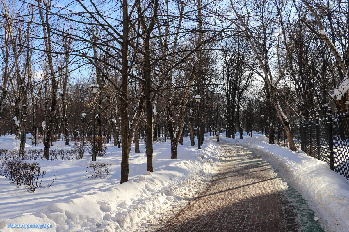 Дом Городских начальных училищ, или Северный модерн на Плющихе и Георгий  Победоносец на фасаде | Тайный фотограф Москвы | Дзен