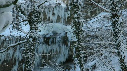 Готовим бургеры на водопаде