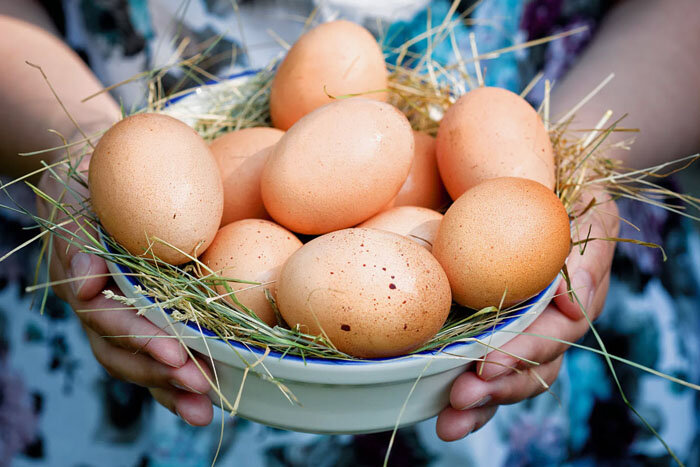 Лабораторная работа. Анализ полученных результатов пример. Введение в анализ данных. Что такое орфографический анализ выделенных слов. Анализ результатов использования различных методов исследования.