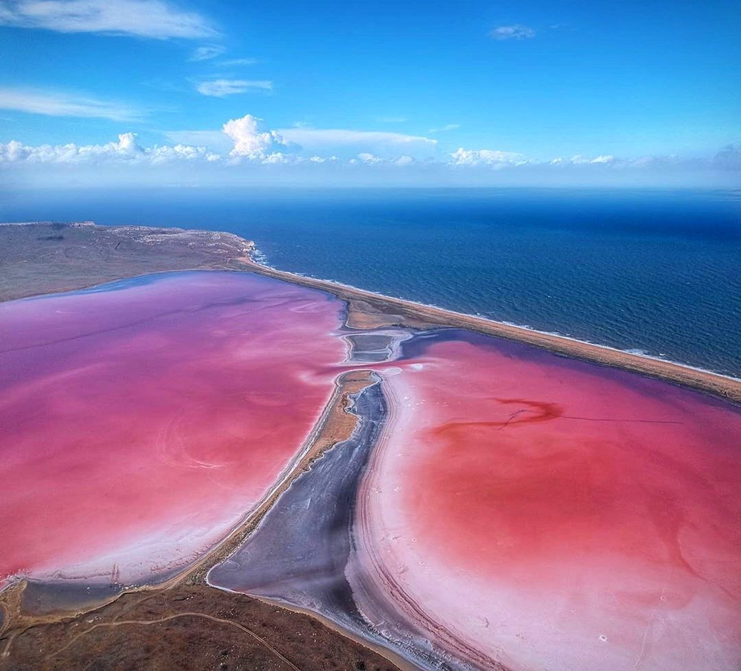 Розовый водоем в крыму. Кояшское озеро Керчь. Кояшское розовое озеро в Крыму. Сасык Сиваш озеро. Мыс Опук Кояшское озеро.