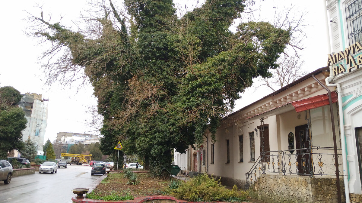 бухта ласпи смотровая площадка. крым обои на рабочий стол 1920х1080. пляж массандра ялта. ласточкино гнездо туристы. крым ялта туризм.