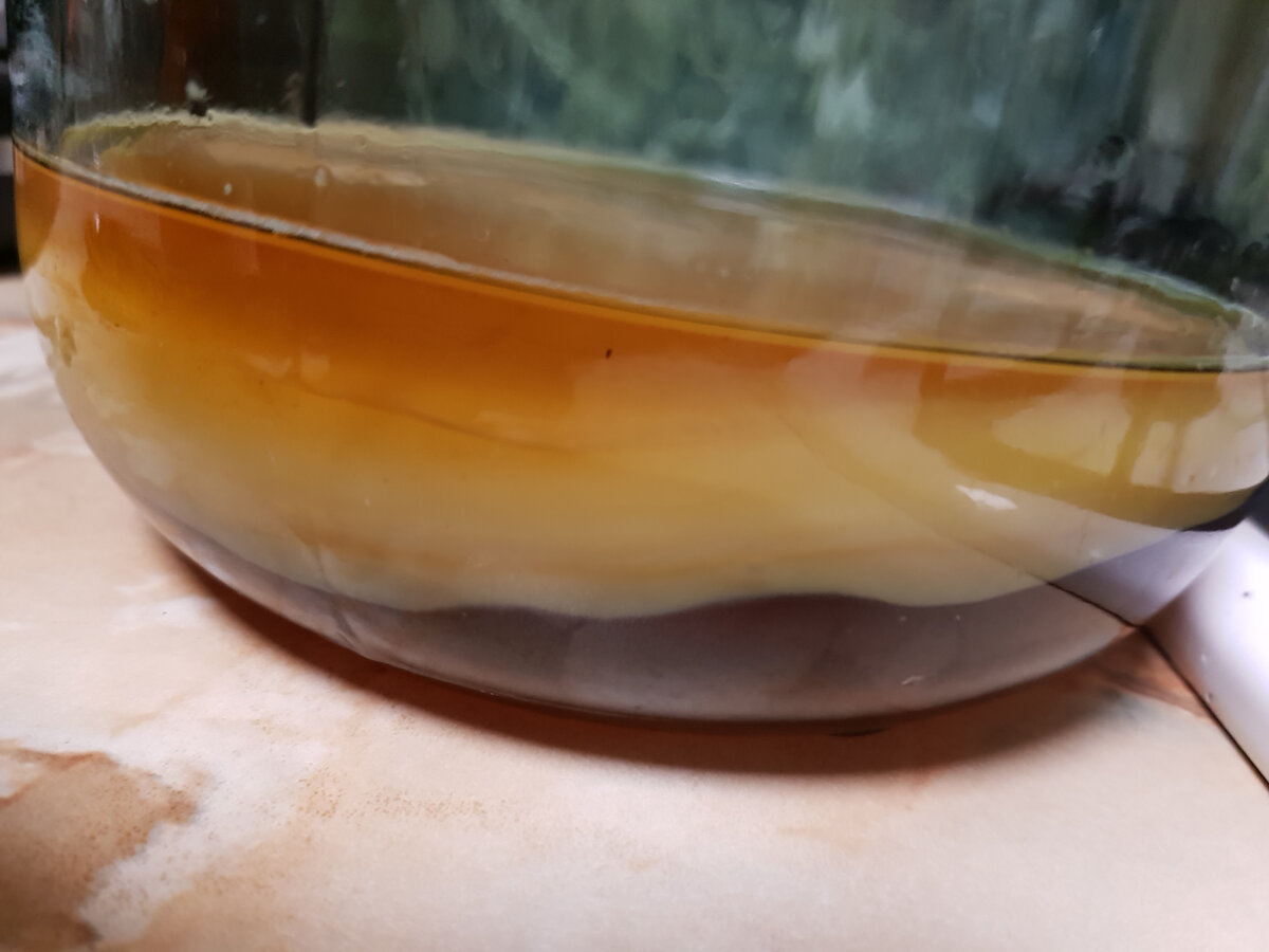 Фотография автора. 