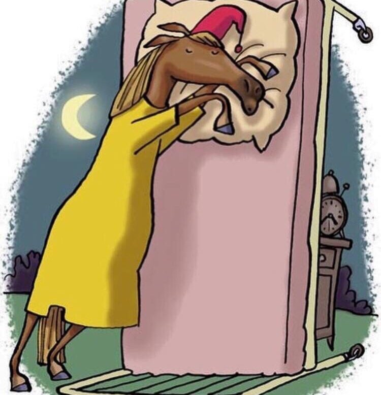 Картинка из интернета. Спать как лошадь!