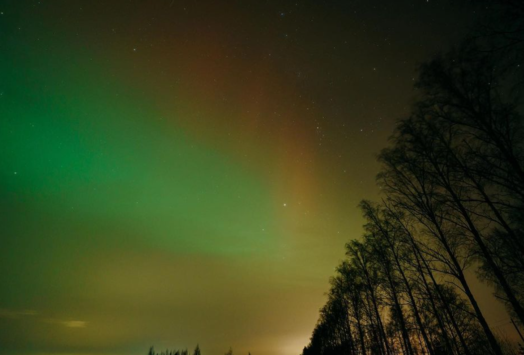 северное сияние в лесу. северное сияние в лесу. швеция северное сияние. северное сияние в тайге. северное сияние в якутии.