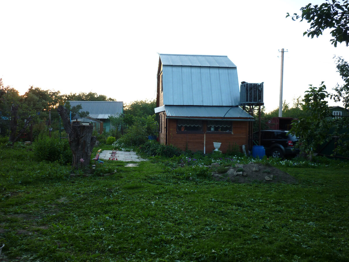 Мы стали его просто косить (страшно сказать, обычным триммером, даже не газонокосилкой).