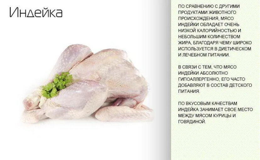 Что полезнее куриные. Что полезнее куриные. Что полезного в яйцах куриных. Как выбрать курицу. Польза курицы для организма.