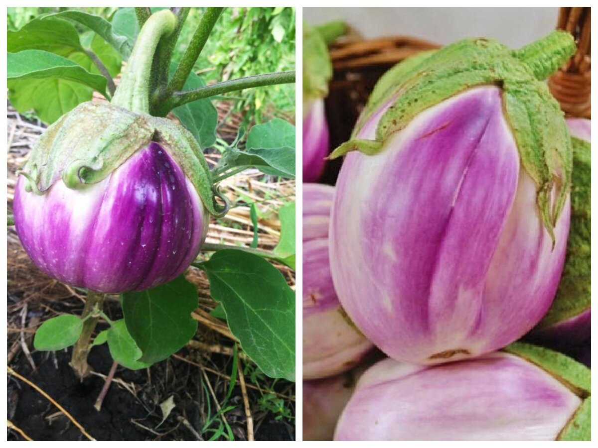 мой финиш результаты. мой финиш результаты. финиш конец. The athletes women who become pronstar. мой финиш результаты.