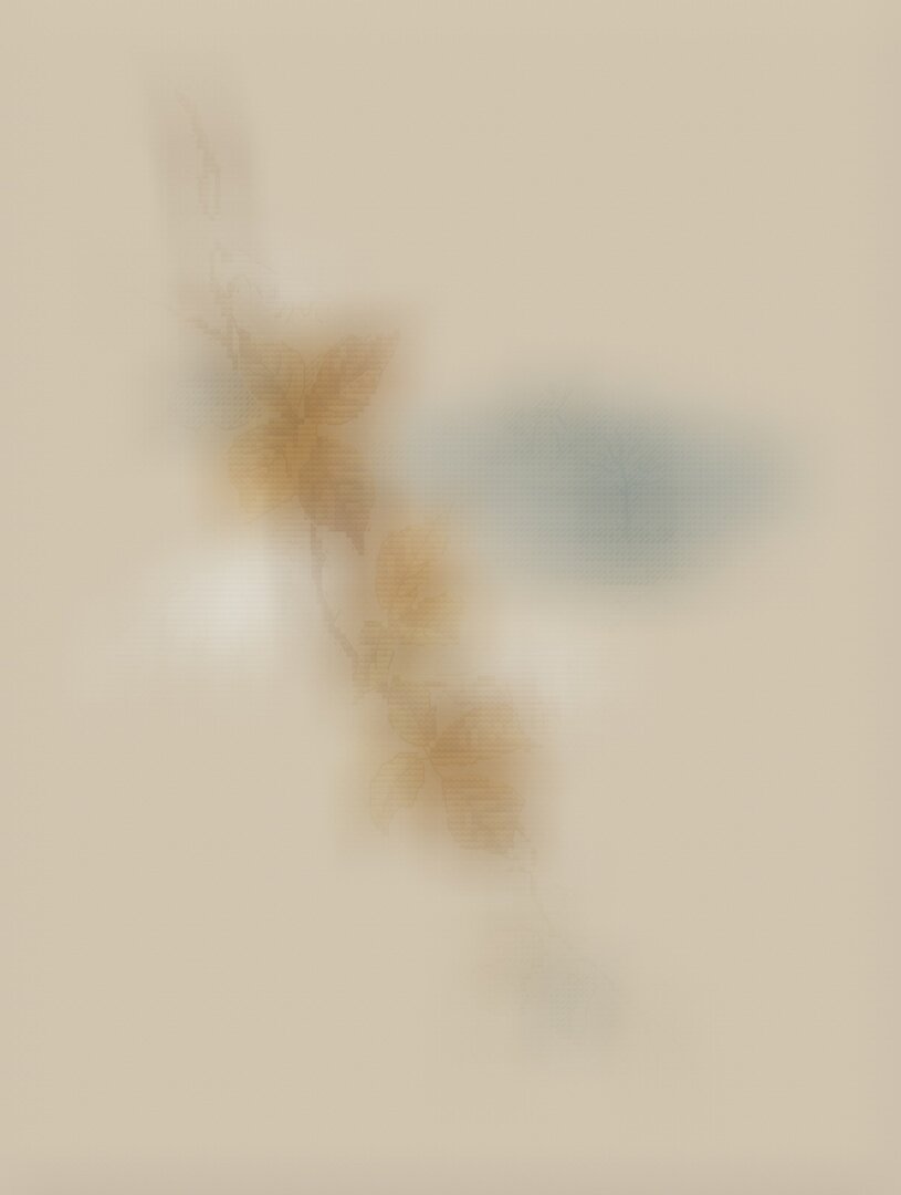 превью одной из схем "кота в мешке"