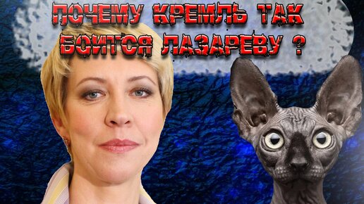 Кот костян дзене. Кот костян. Кот костян. Кот костян и монтян. Кот костян дзене.