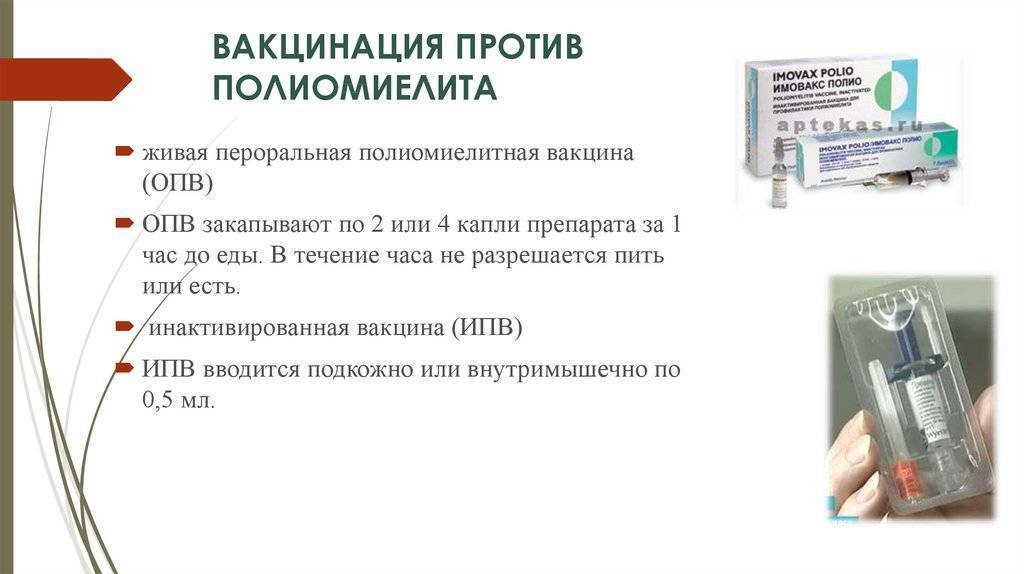 Прививка полиомиелит после года. Вакцина против полиомиелита вводится. Вакцина против полиомиелита Введение ребенку. Полиомиелит ревакцинация живой вакциной.