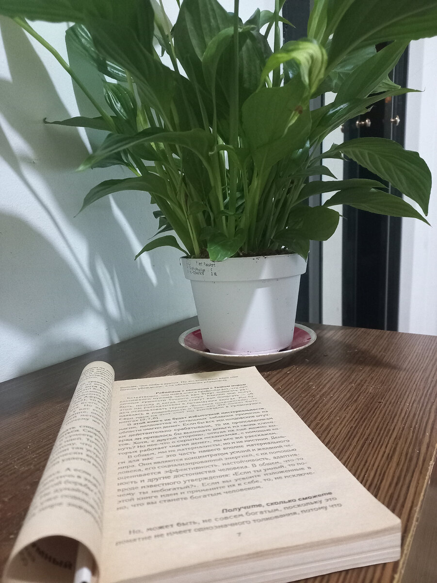 хорошую книгу можно перечитывать бесконечно, как и хороший контент