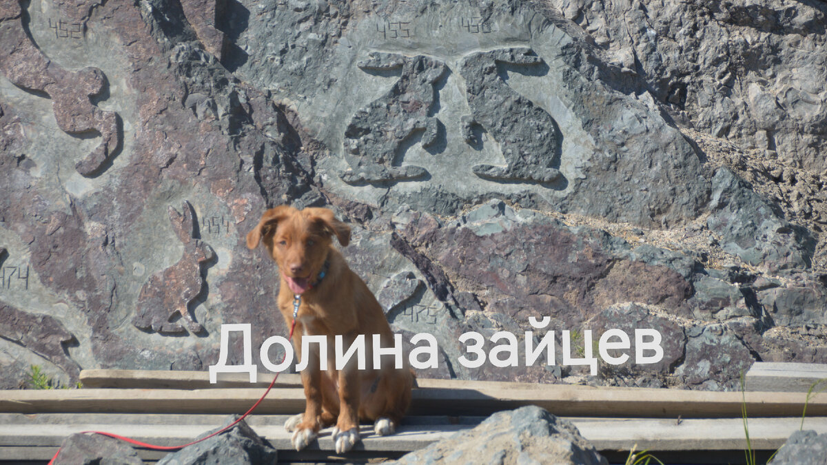 С Ирвином вместе