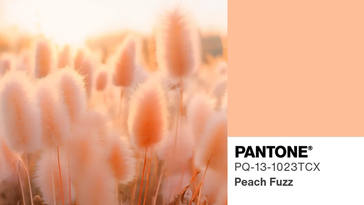 Цвет 2024 года