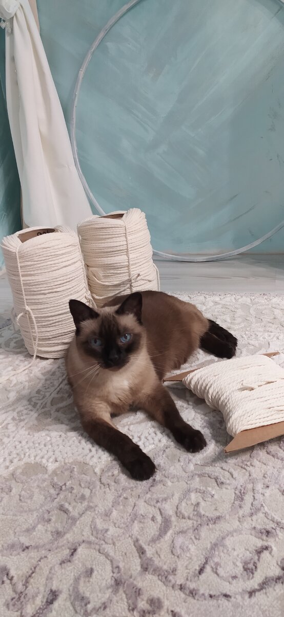 Много-много хлопкового шнура и металлическое кольцо