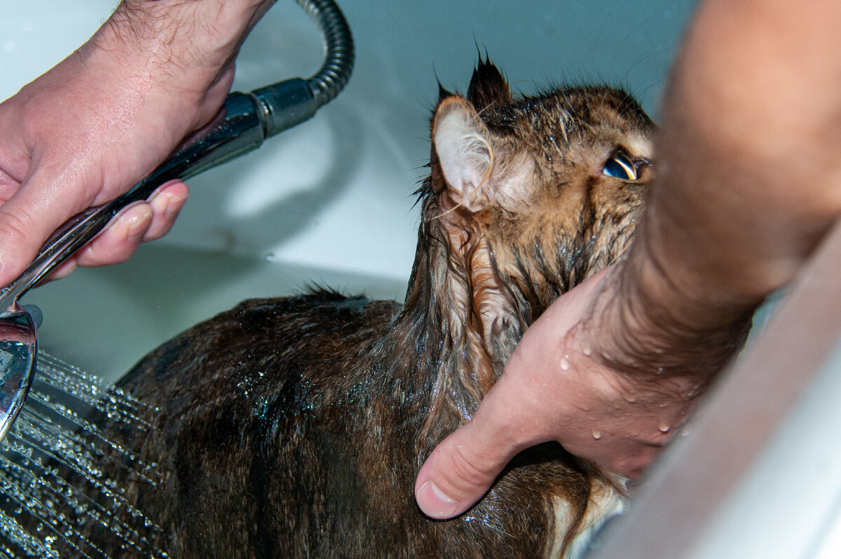 Svetlana Vozmilova/Global Look Press 