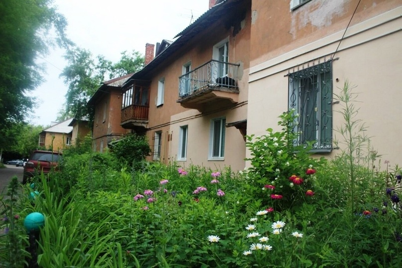 … можно было обозревать в окно небольшую зелёную зону перед домом…