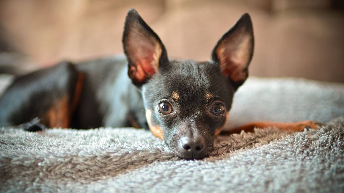    Фото: shutterstock