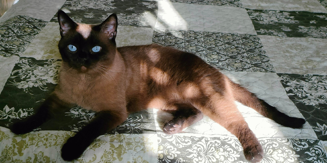 Брусничка, с наступающим Днем Рождения!