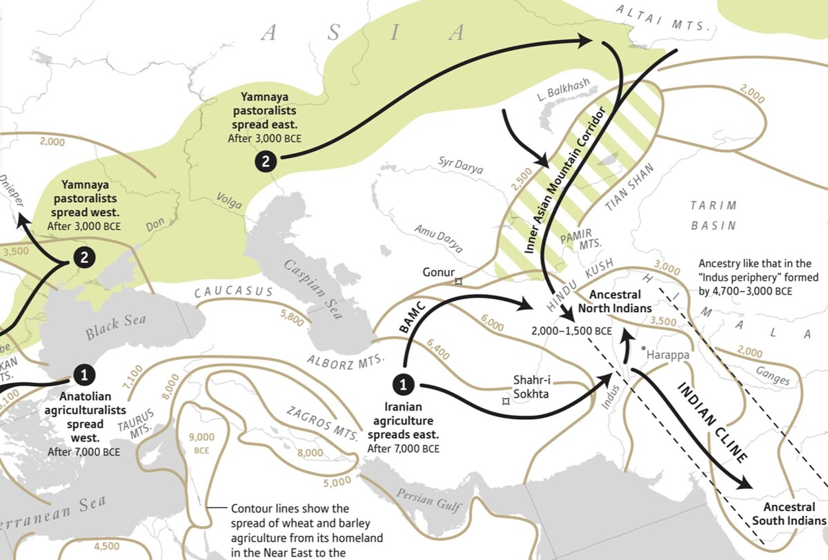 Мифическое вторжение степных "ариев" в Южную Азию в бронзовом веке согласно данной статье.