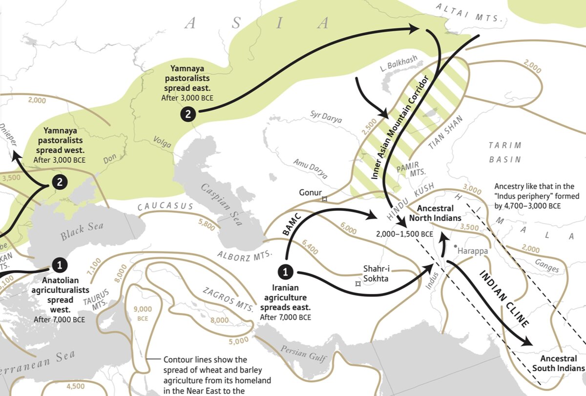 Генетики доказали вторжение степных ариев в Индию? Нет! | Александр  Семененко | Дзен