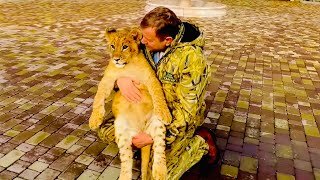 найдены потерявшиеся видео. тело девушки нашли в лесу. найдены потерявшиеся видео. волгоград убийство девочки. найдены потерявшиеся видео.