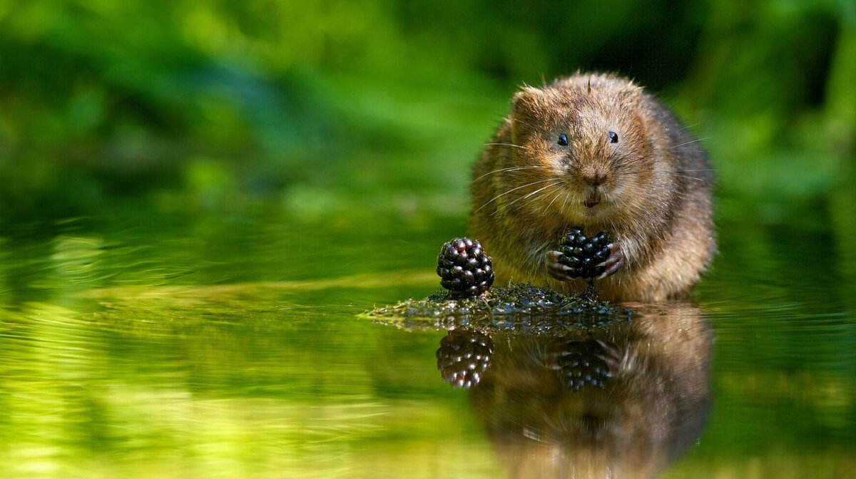 Суперское фото с wp-s.ru