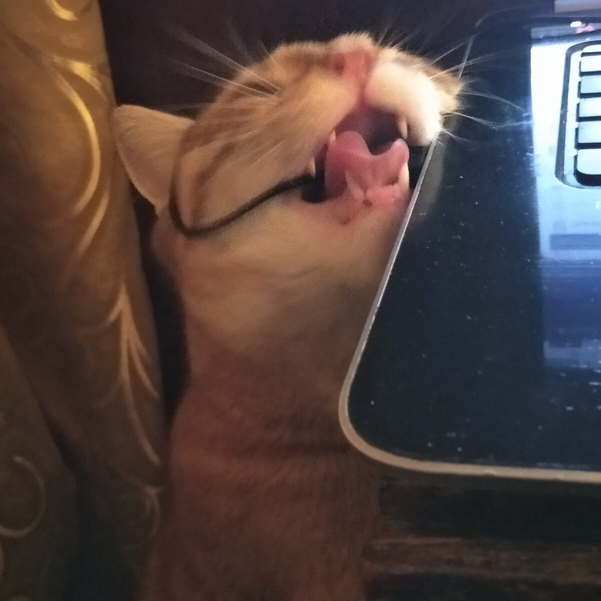 папе некогда. папе некогда. дэйв энгледоу лучший отец. знаешь папа. папе некогда.