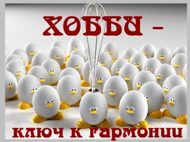 Источник фото: https://yandex.ru/images/search?from=tabbar&img_url=https%3A%2F%2Fimages.golos.today%2Fp%2FD5zH9SyxCKdBnJaFeHnL3svQi9ZN2XzXDbzGpX46ycMUKk84gJBPiSfjbZQXvNNfzpsrRmaW8oGMHKsTdVf7s2T13kXcargdUs4fQ27KioaUjPgW86aPRDrCJFzyLje79DsRR8%3Fformat%3Dwebp%26mode%3Dfit&lr=193&pos=1&rpt=simage&text=%D1%85%D0%BE%D0%B1%D0%B1%D0%B8%20%D1%81%D0%BC%D0%B5%D1%88%D0%BD%D0%B0%D1%8F%20%D0%BA%D0%B0%D1%80%D1%82%D0%B8%D0%BD%D0%BA%D0%B0