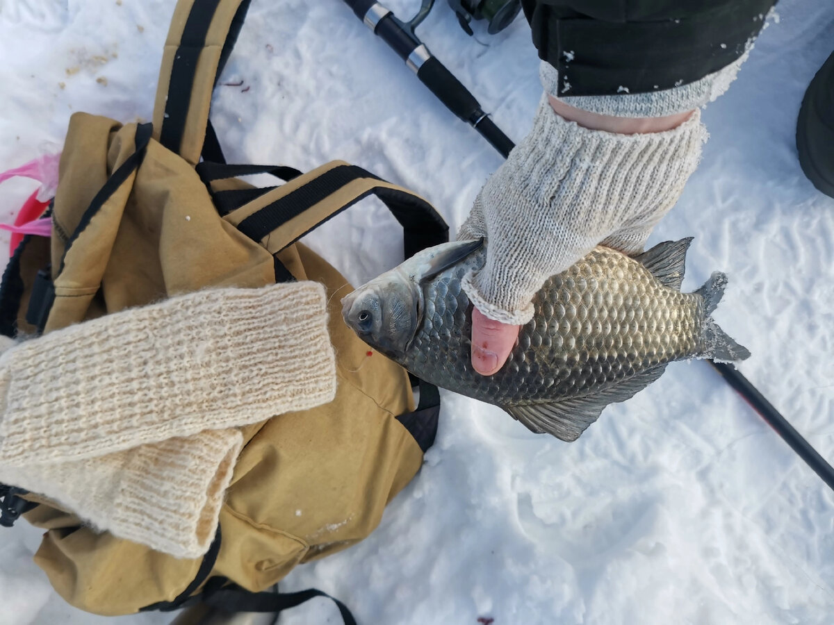 Этот толстячёк клюнул под самый конец. Когда уже собирался домой. 