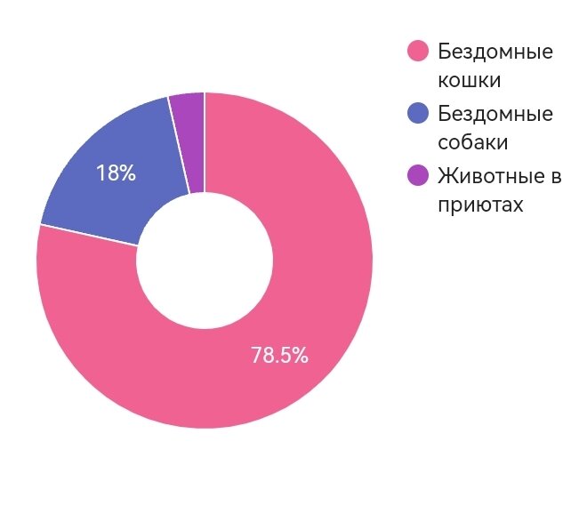 Всего 4,1 млн бездомных животных.