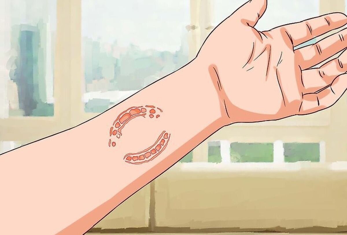 вид понятия соратник. вид понятия соратник. правила определения. операция определения понятий в логике. понятия по объему и содержанию в логике.