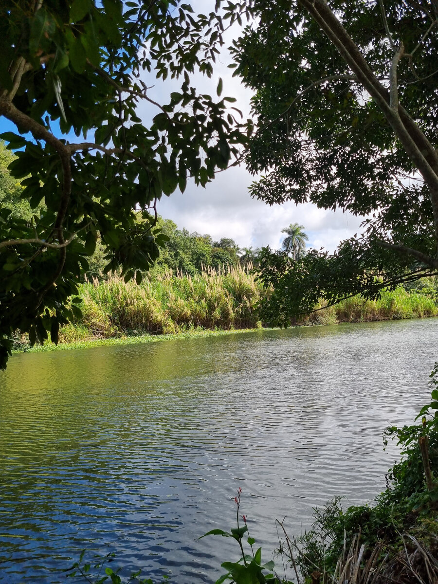 Река Канимар