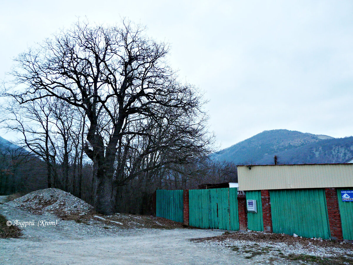 м г таранов. ачимсх преподаватели. бог дома павел таранов. м г таранов. м г таранов.