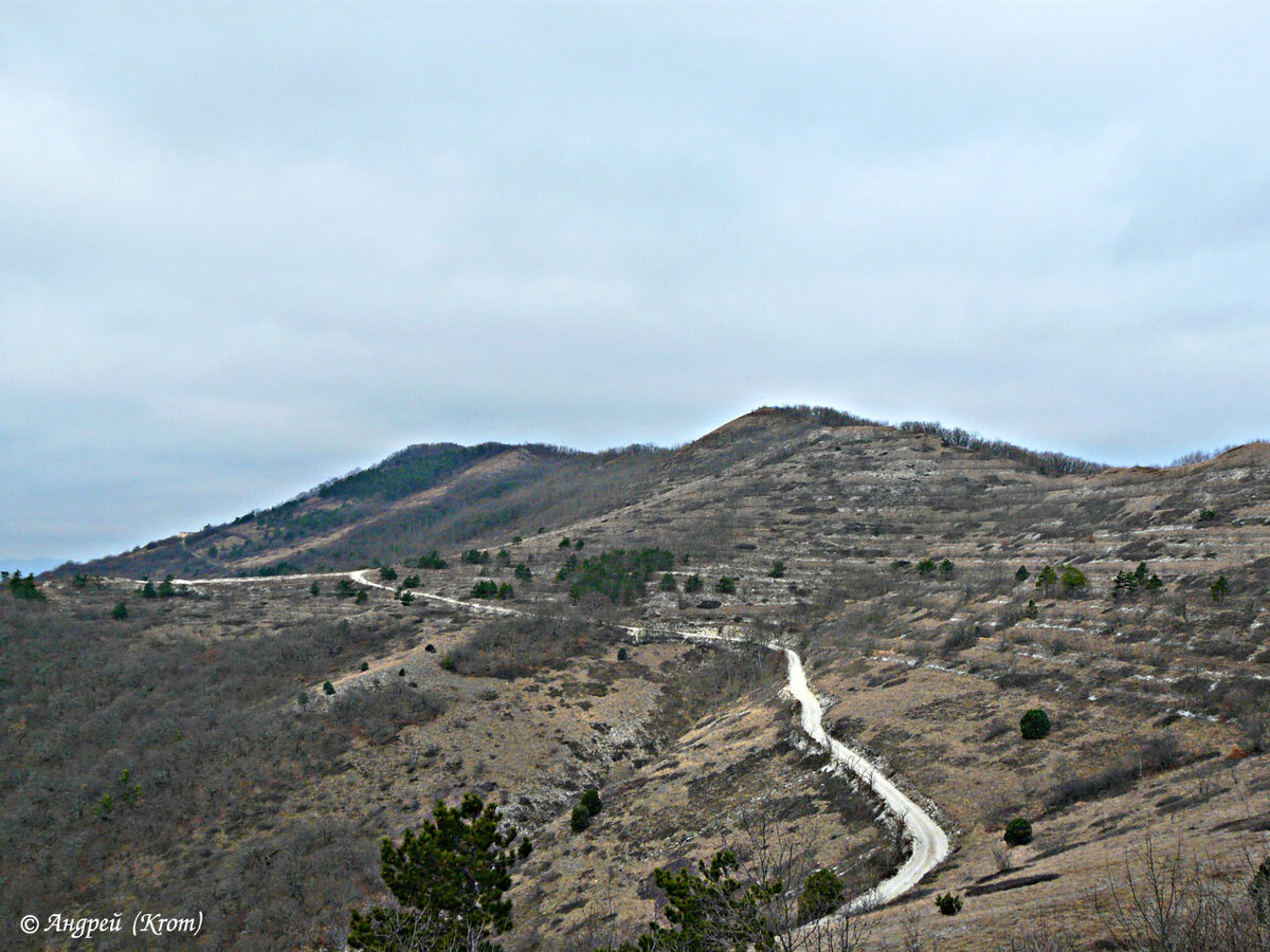 осадные орудия таран 5 класс история. стенобитные тараны ассирия. осадные машины монголо-татар. таранов актер. виды таранов.