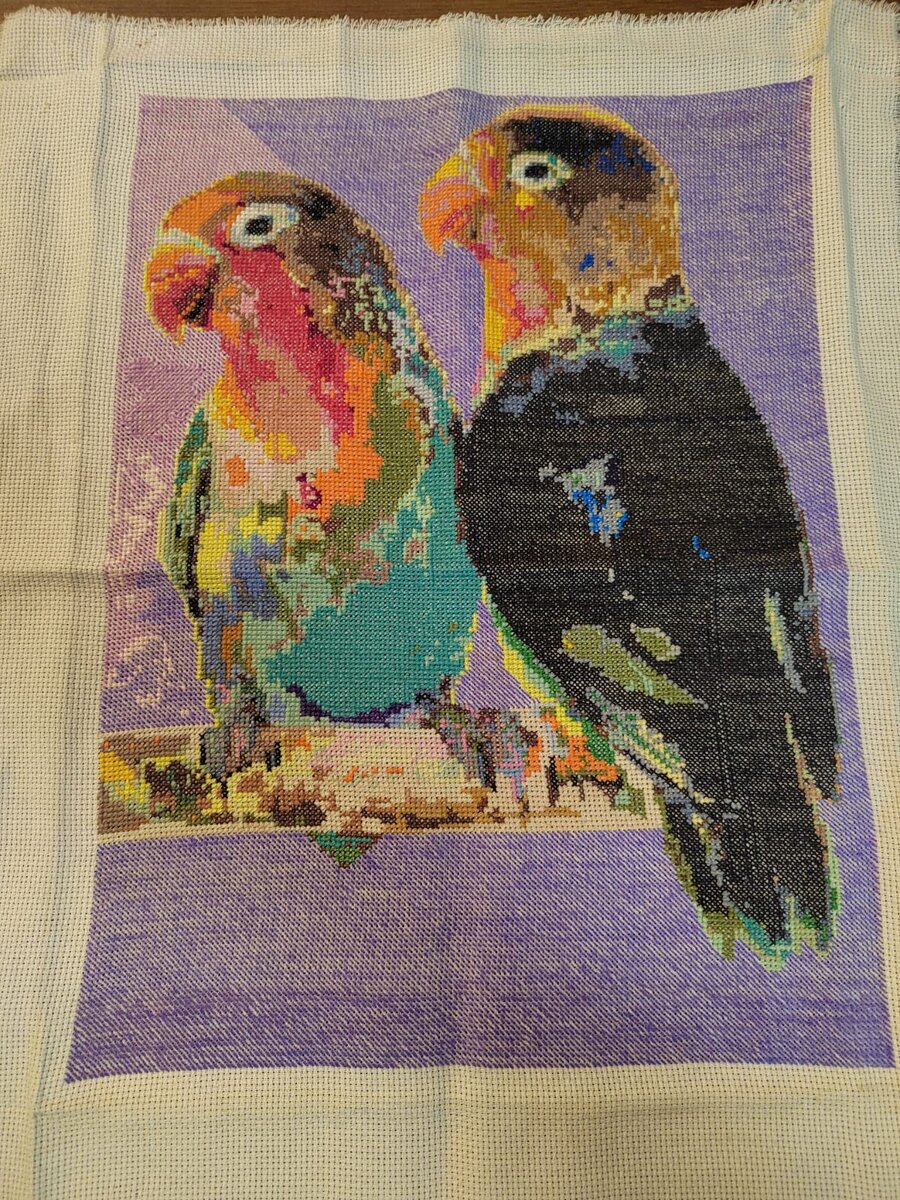 Попугаи. Моя первая большая вышивка.