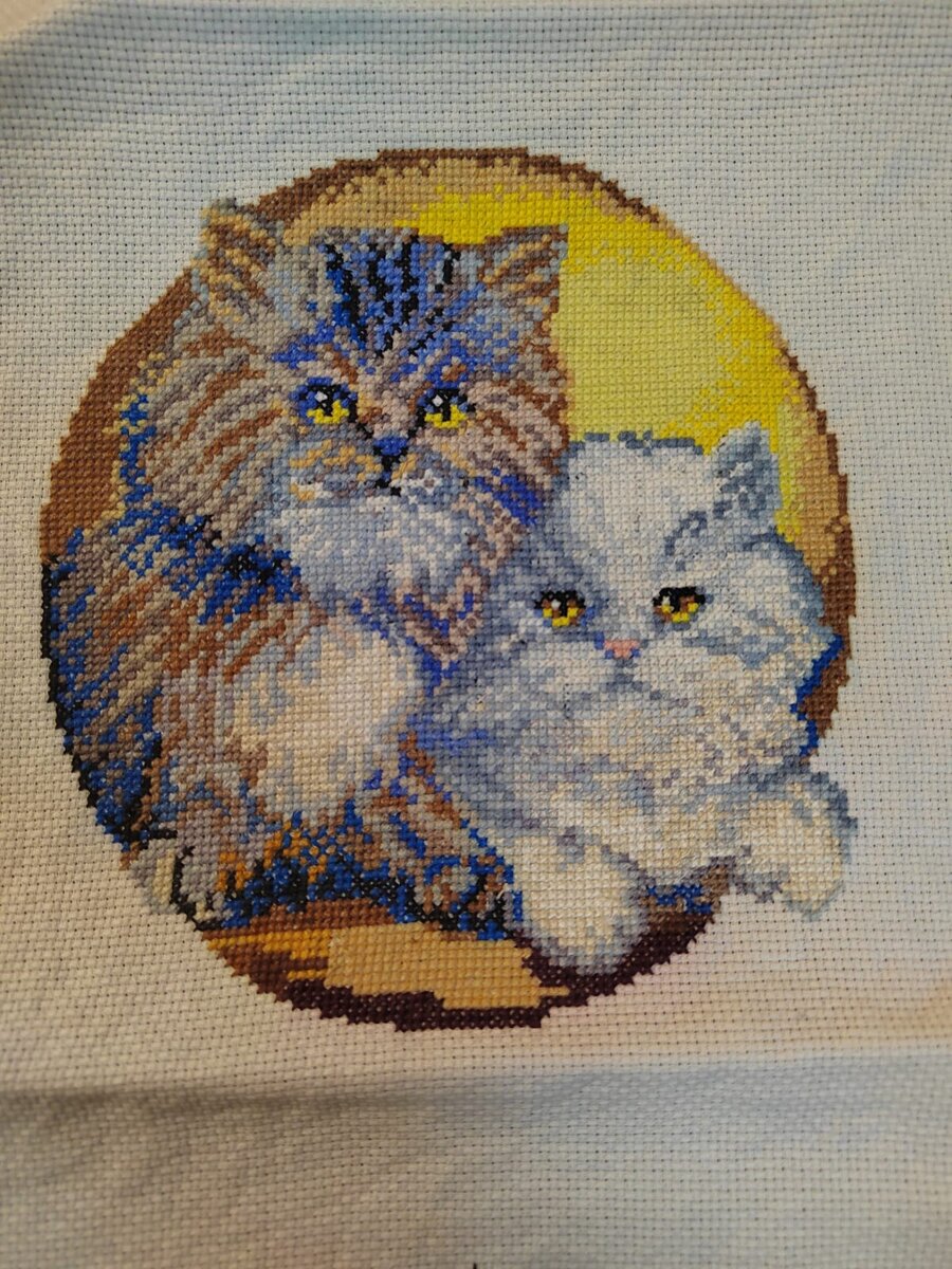 Котики любимые