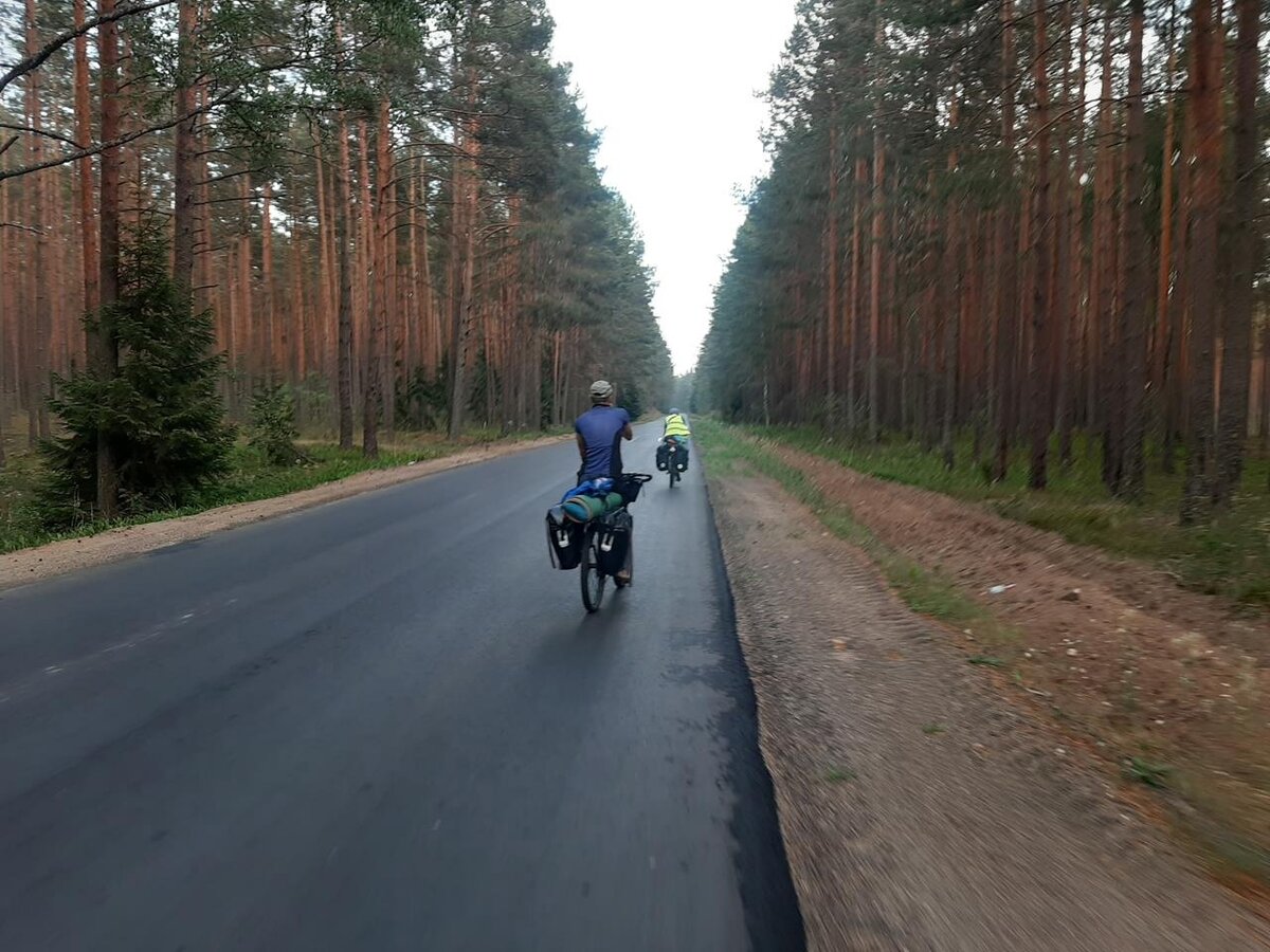 Гомель-Гомель. 830 километров на велосипеде за 10 дней. | Николай Чепа |  Дзен