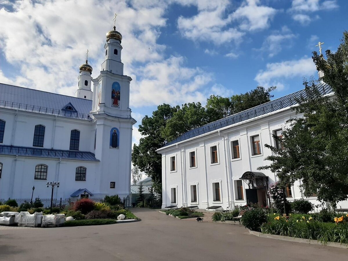 Гомель-Гомель. 830 километров на велосипеде за 10 дней. | Николай Чепа |  Дзен