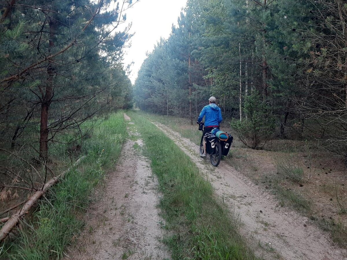 Гомель-Гомель. 830 километров на велосипеде за 10 дней. | Николай Чепа |  Дзен