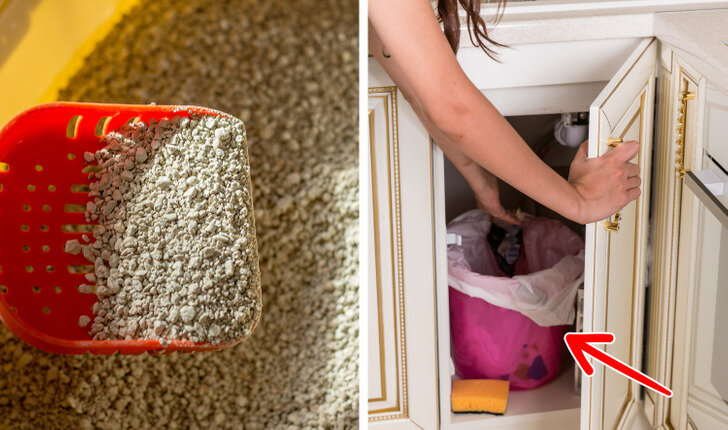 биохимический методы изучения. эстетизация воспитательной среды. математико-статистические методы исследования в психологии. экономические методы управления основаны на. методы использования экономических законов это.